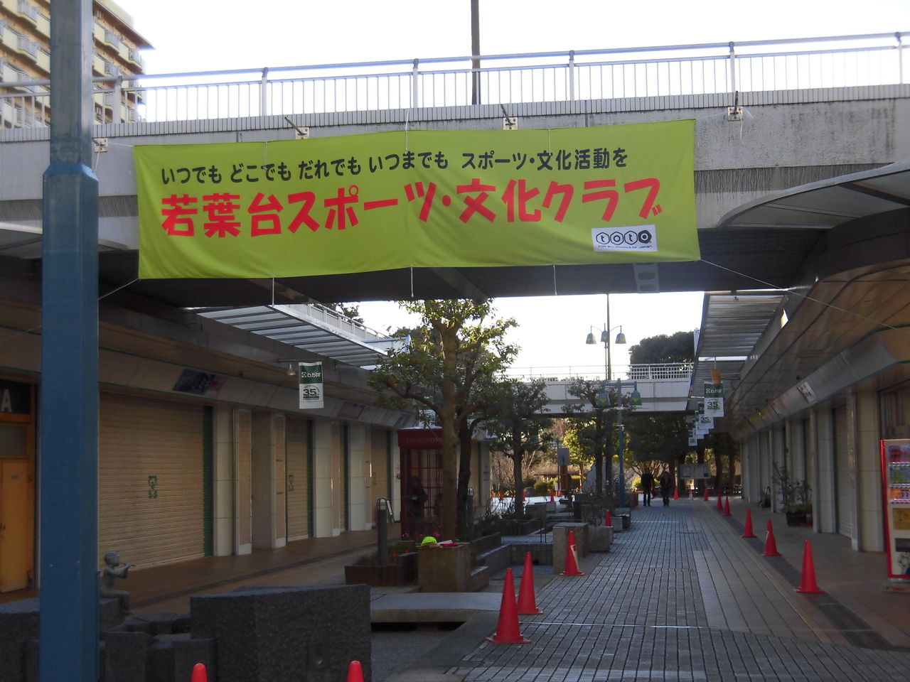 若葉台 正月マラソン大会速報 若葉台二丁目南自治会ブログ