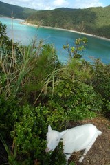 ひろみと海