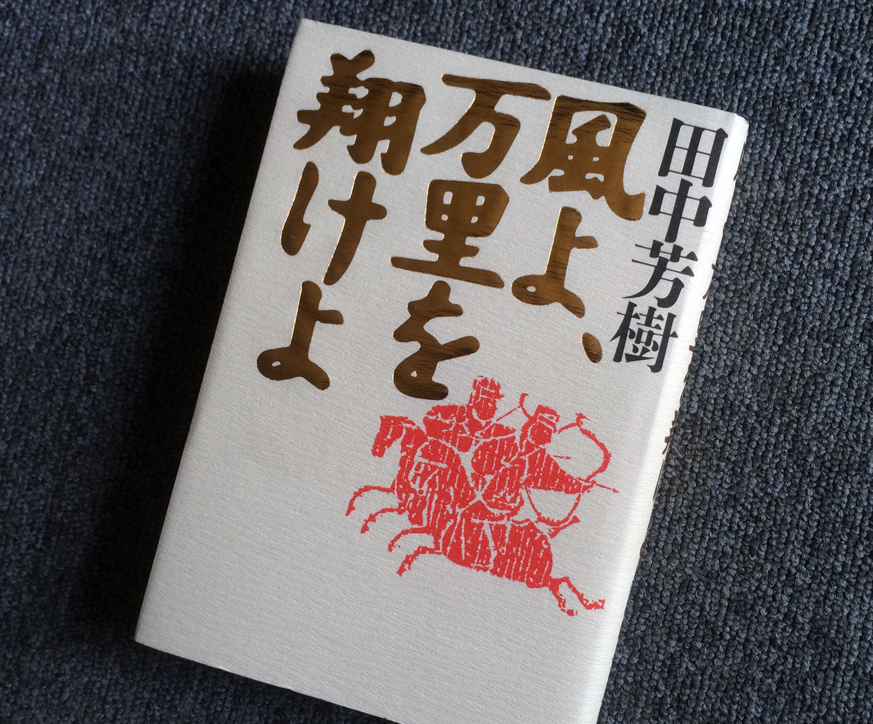 風よ 万里を翔けよ 渡辺和雄のブックデザイン