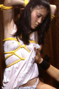 立川ひとみ 恐怖のSM画像 ザ折檻3