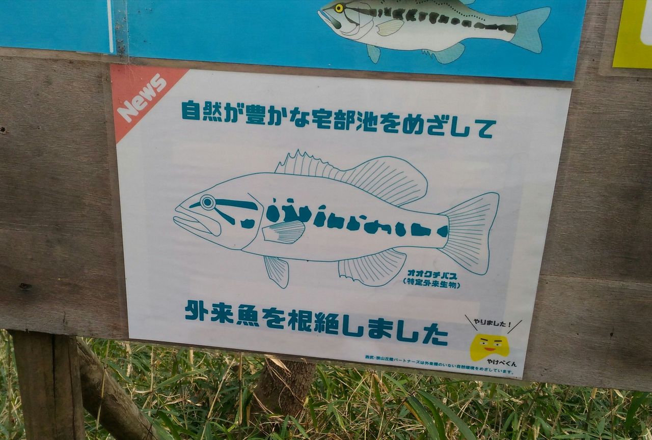 池の水 ぜんぶ抜く たっちゃん池 週末は バス釣りに行こうかそれとも 池の水 ぜんぶ抜く たっちゃん池 週末は バス釣りに行こうかそれとも