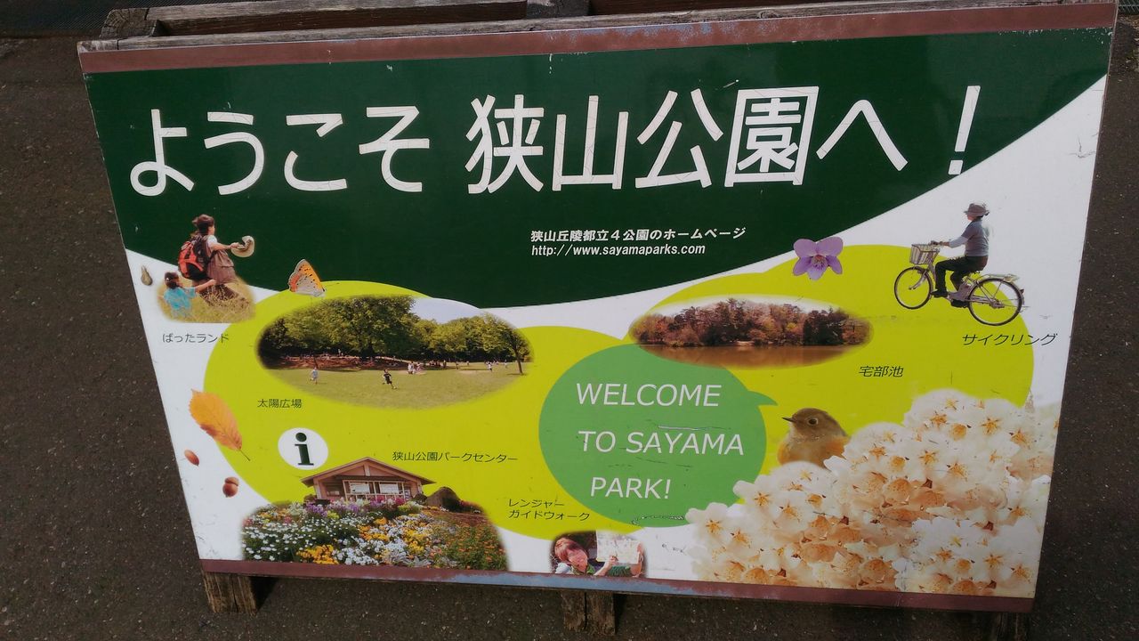 池の水 ぜんぶ抜く たっちゃん池 週末は バス釣りに行こうかそれとも 池の水 ぜんぶ抜く たっちゃん池 週末は バス釣りに行こうかそれとも