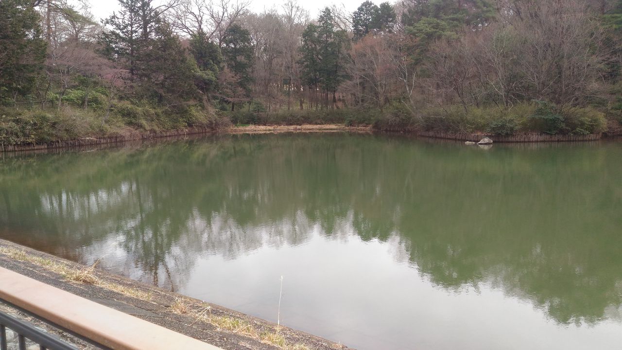 池の水 ぜんぶ抜く たっちゃん池 週末は バス釣りに行こうかそれとも 池の水 ぜんぶ抜く たっちゃん池 週末は バス釣りに行こうかそれとも