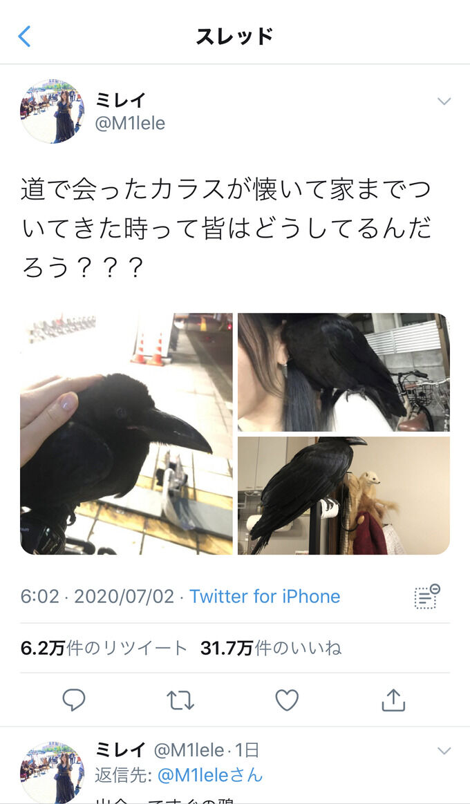 チャーシュー もみあげ