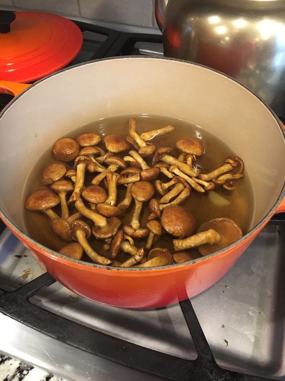 ナスと新玉ねぎ ナメコの味噌汁 オーガニックライフ In ネブラスカ ナスと新玉ねぎ ナメコの味噌汁 オーガニックライフ In ネブラスカ