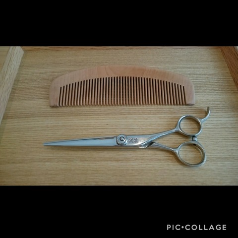 Collage 2020-12-11 08_36_39