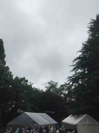 IMG_9556