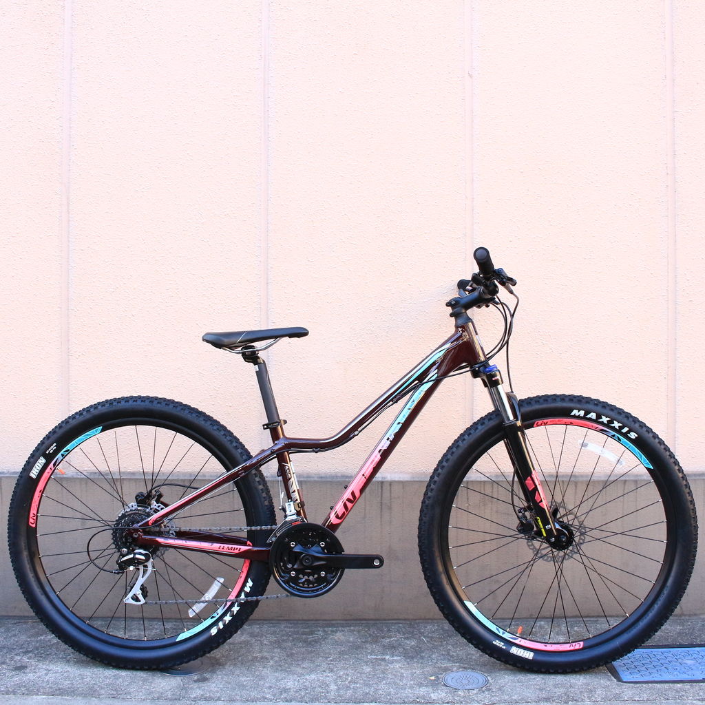 2017 Liv TEMPT 4 & GIANT TALON 3 : wadacycle news