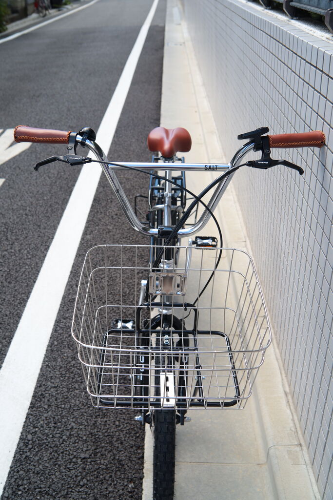 SALTのProバーとブレーキレバー
