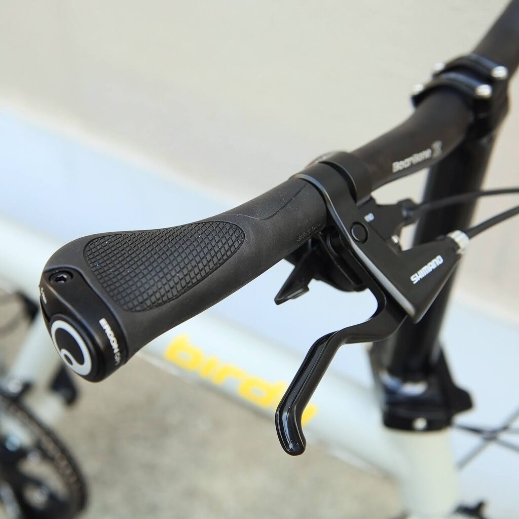 birdy Classic WADA Matt Grey [和田サイクルカスタム車