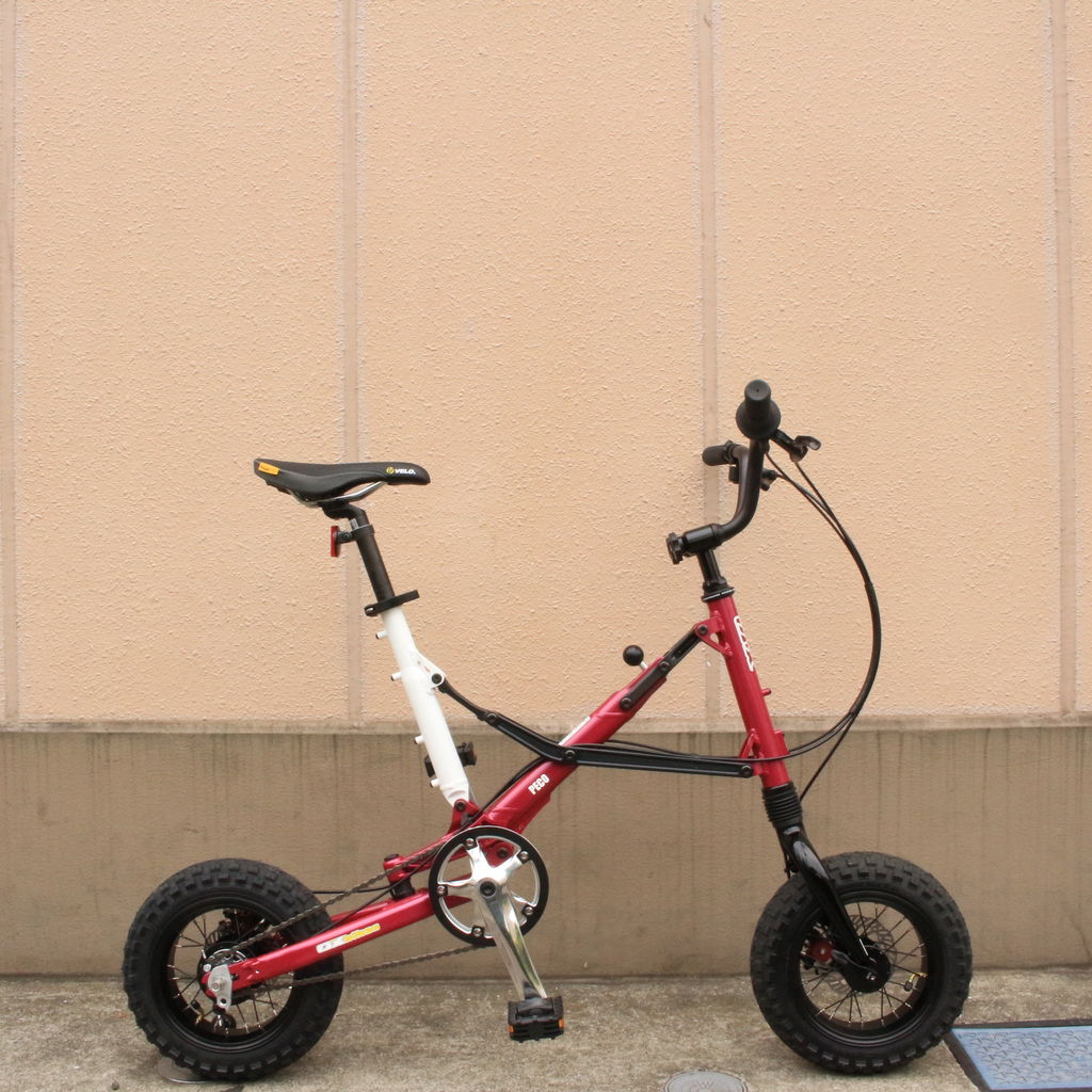 NEW!!］OX PECO、Pocci、Buccho、試乗車揃いました : wadacycle news