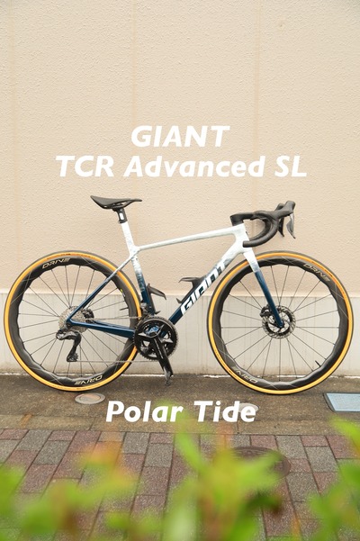 GIANT TCR ADVANCED SL フレームセット : wadacycle news