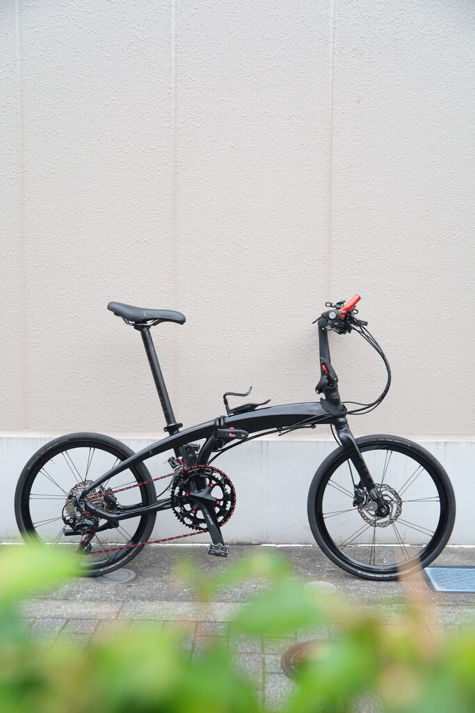 DAHON Verge P10 カスタム車両（斜め後方から）