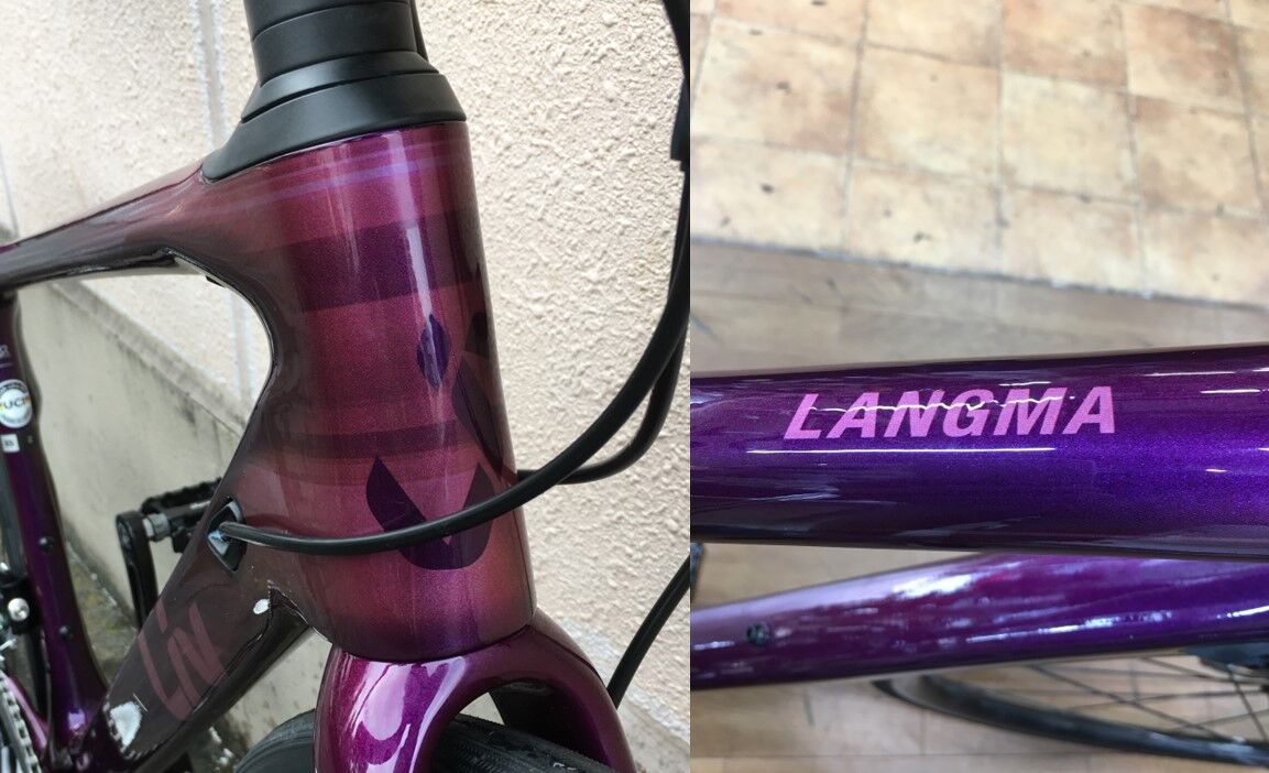 試乗車】Liv「LANGMA ADVANCED 2 DISC」2021年モデル試乗できます