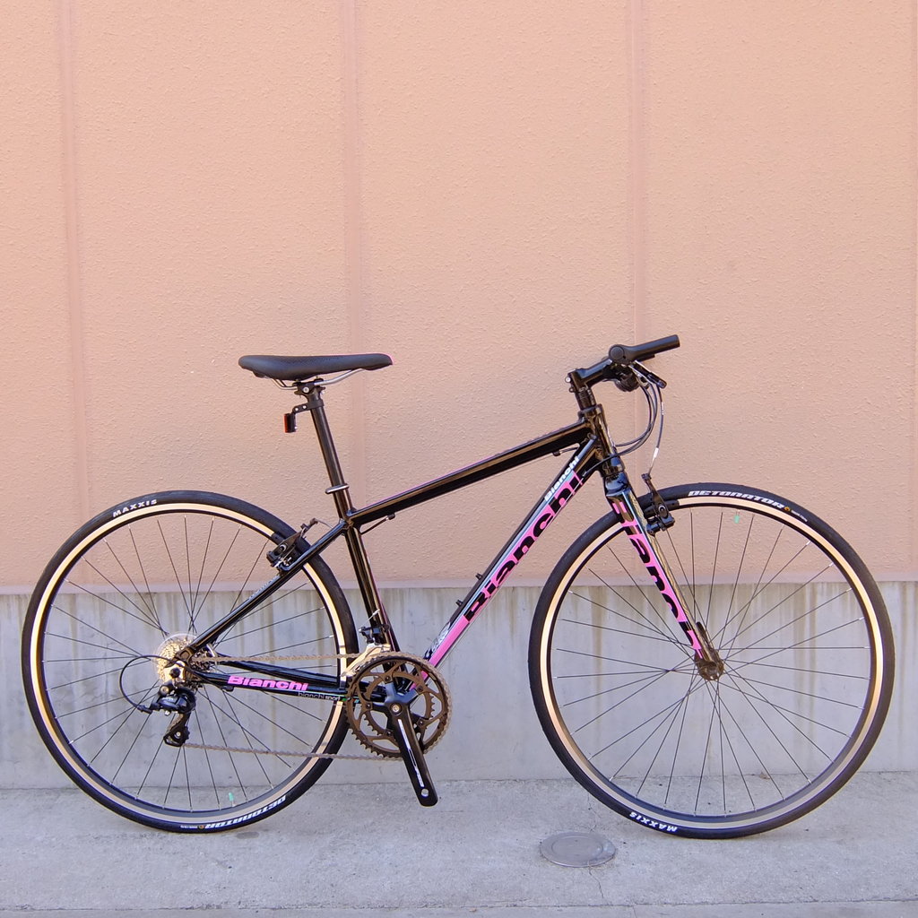 ROMA 2とCAMELEONTE 2 : wadacycleのBlog