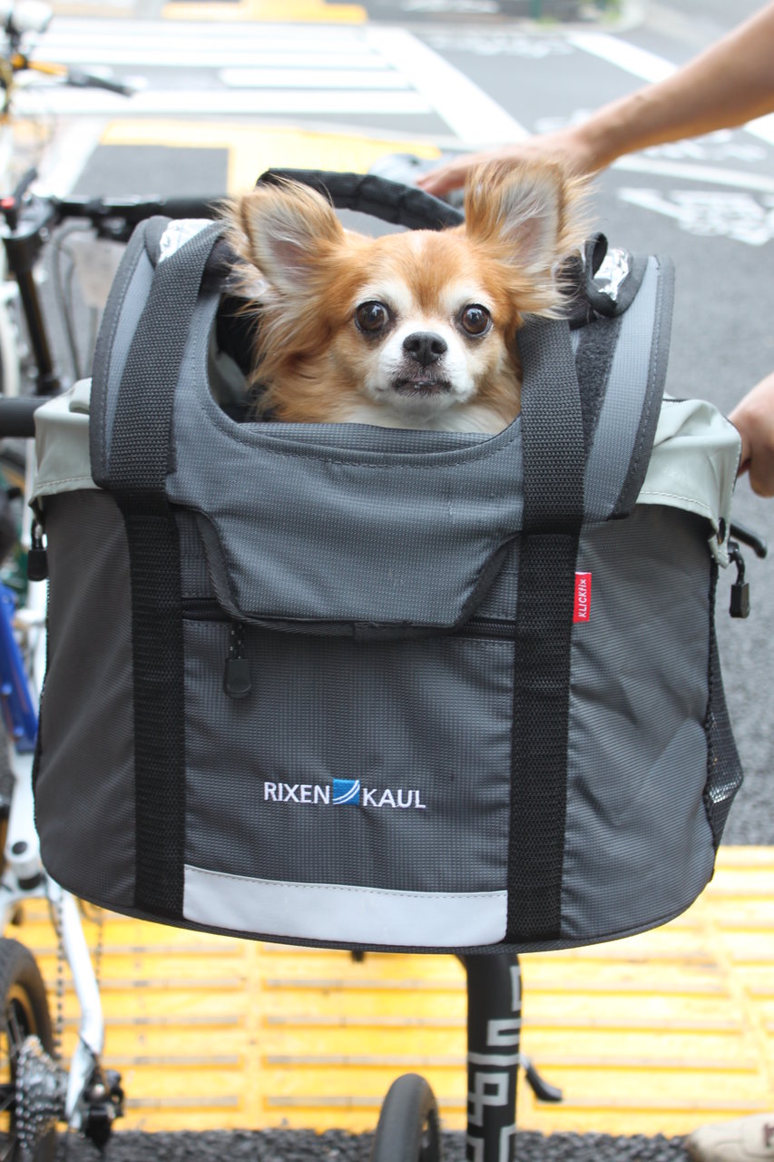 RIXEN&KAUL(リクセンカウル) なんてこった DOGGY(ドギー) ペット