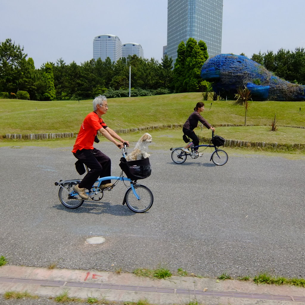 T-Bagにわんちゃんを : wadacycleのBlog