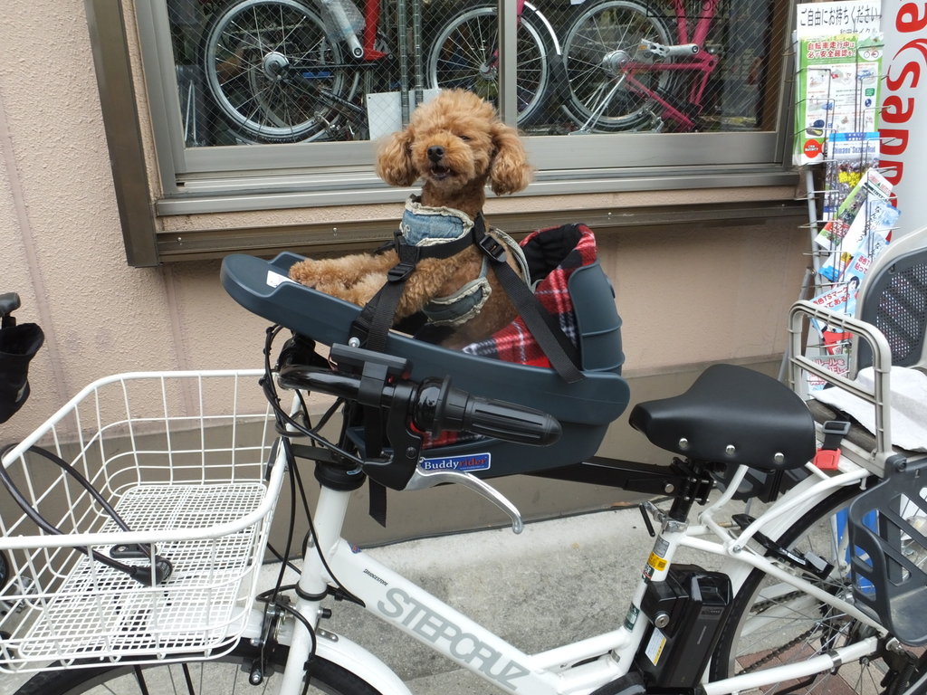 バディライダー BUDDY RIDER 自転車用ペットシート バディブースター
