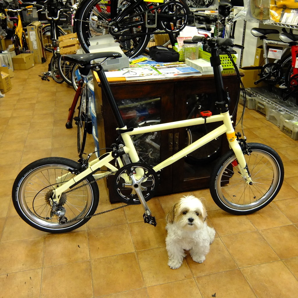 自転車 新型