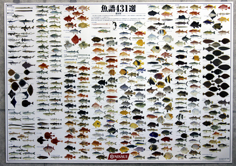 魚のポスター Max Cady S Studio