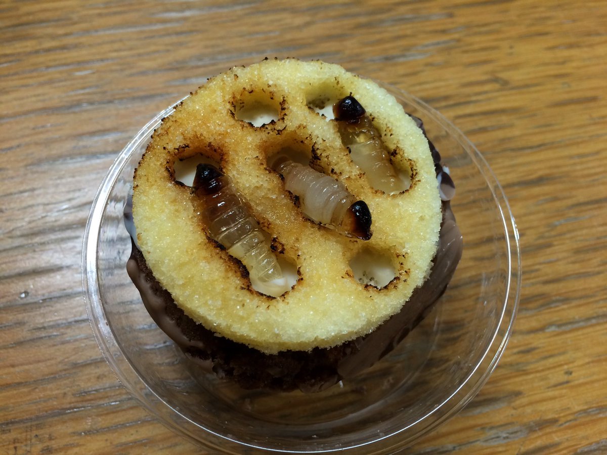 バレンタインチョコ 幼虫チョコにハチの巣ケーキ 虫好きにはたまりませんね 話題のツイート