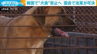 【韓国】「犬食禁止法案」可決、韓国の犬食文化に驚愕