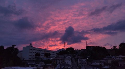 DSC_1861a