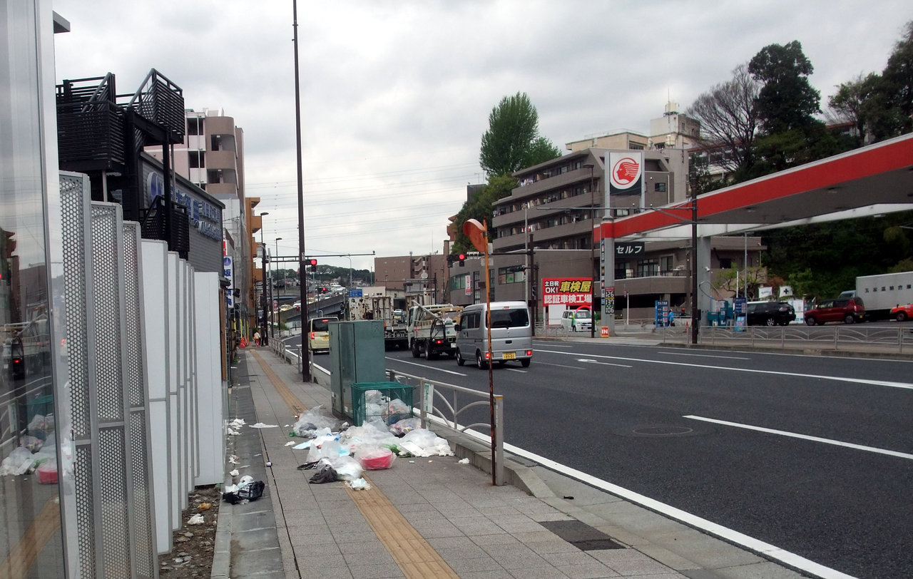 恋の季節よ カラス 和田西部町内会