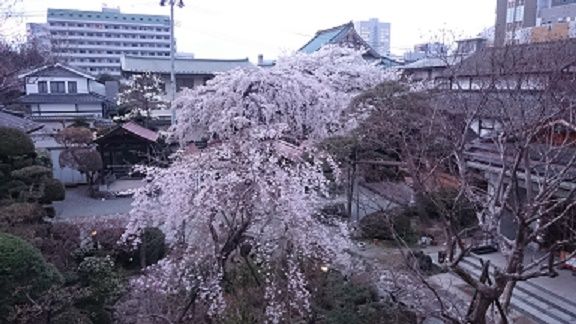 イメージ 2