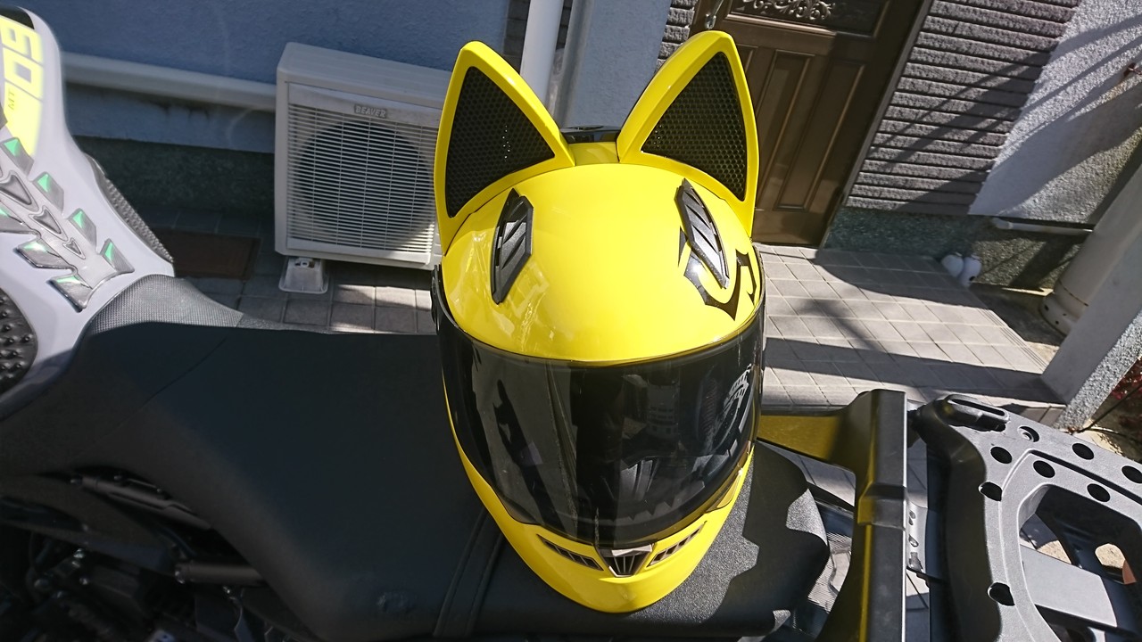 新しいヘルメットが届いた 中央フリーウェイ