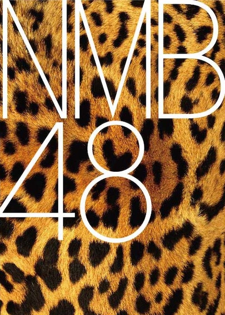 NMB48_logo