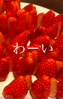 スクリーンショット 2020-12-10 19.34.32