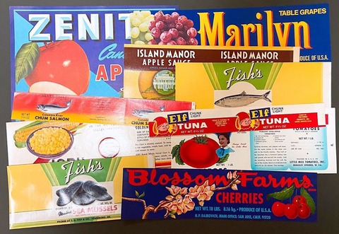 118163456_693060491552449_3504596472468768322_n(1)