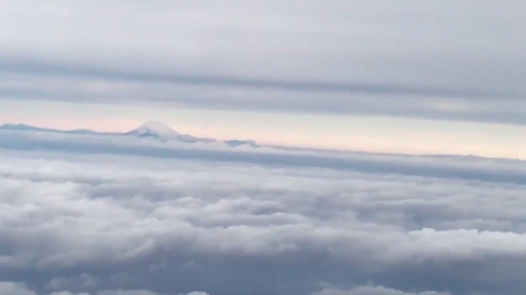 スクリーンショット 2019-12-14 1.57.23