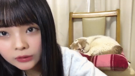 Ske48まとめはエメラルド まとえめ Ske界のペットの中で一番可愛い 強がり時計 Ske48まとめはエメラルド まとえめ Ske界のペットの中で一番可愛い 強がり時計