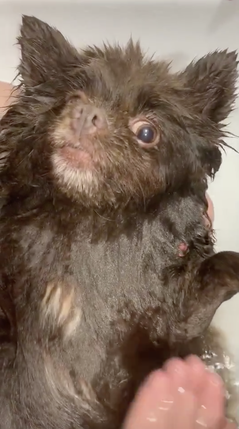 スクリーンショット 2020-07-25 13.16.06