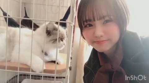 スクリーンショット 2020-01-03 22.49.33