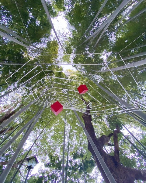 130296213_139912144310678_3907002666546782826_n