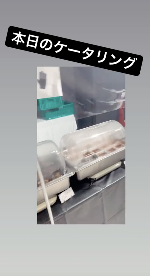 スクリーンショット 2020-10-02 4.52.02