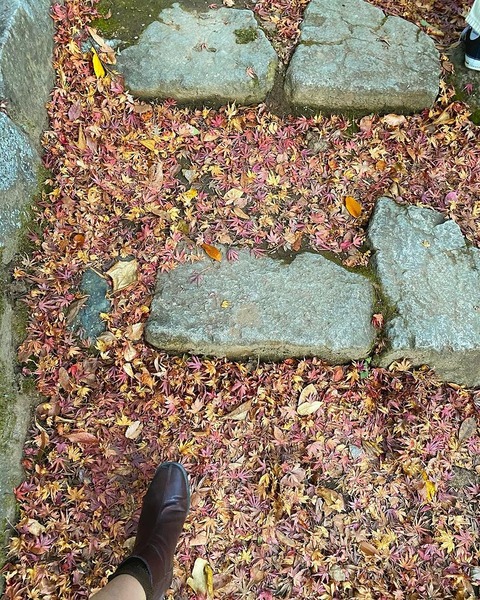 129812532_222350455932944_3496745649474906497_n