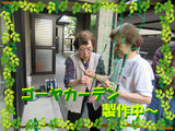 ブログ画像ゴーヤ