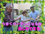 ブログ画像ゴーヤ3