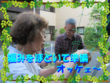 ブログ画像ゴーヤ2