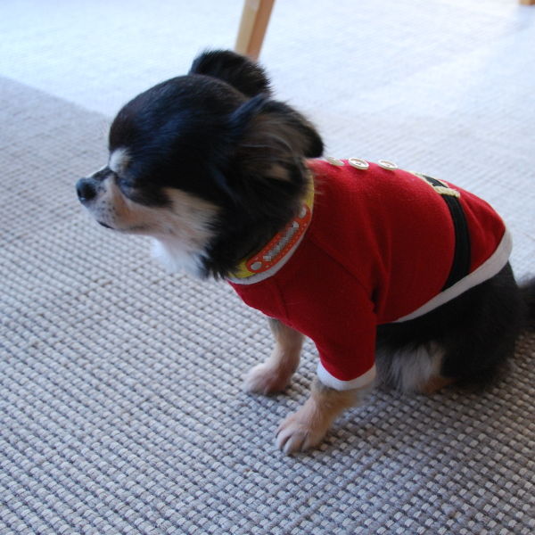 20141218_01_09.jpg
