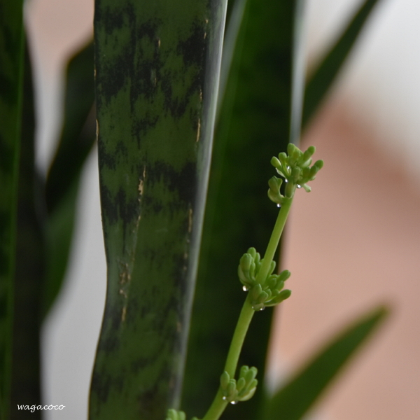201906_357