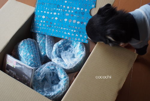 20140306_フローラ01