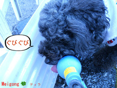 BlogPaint