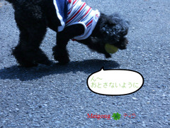 BlogPaint