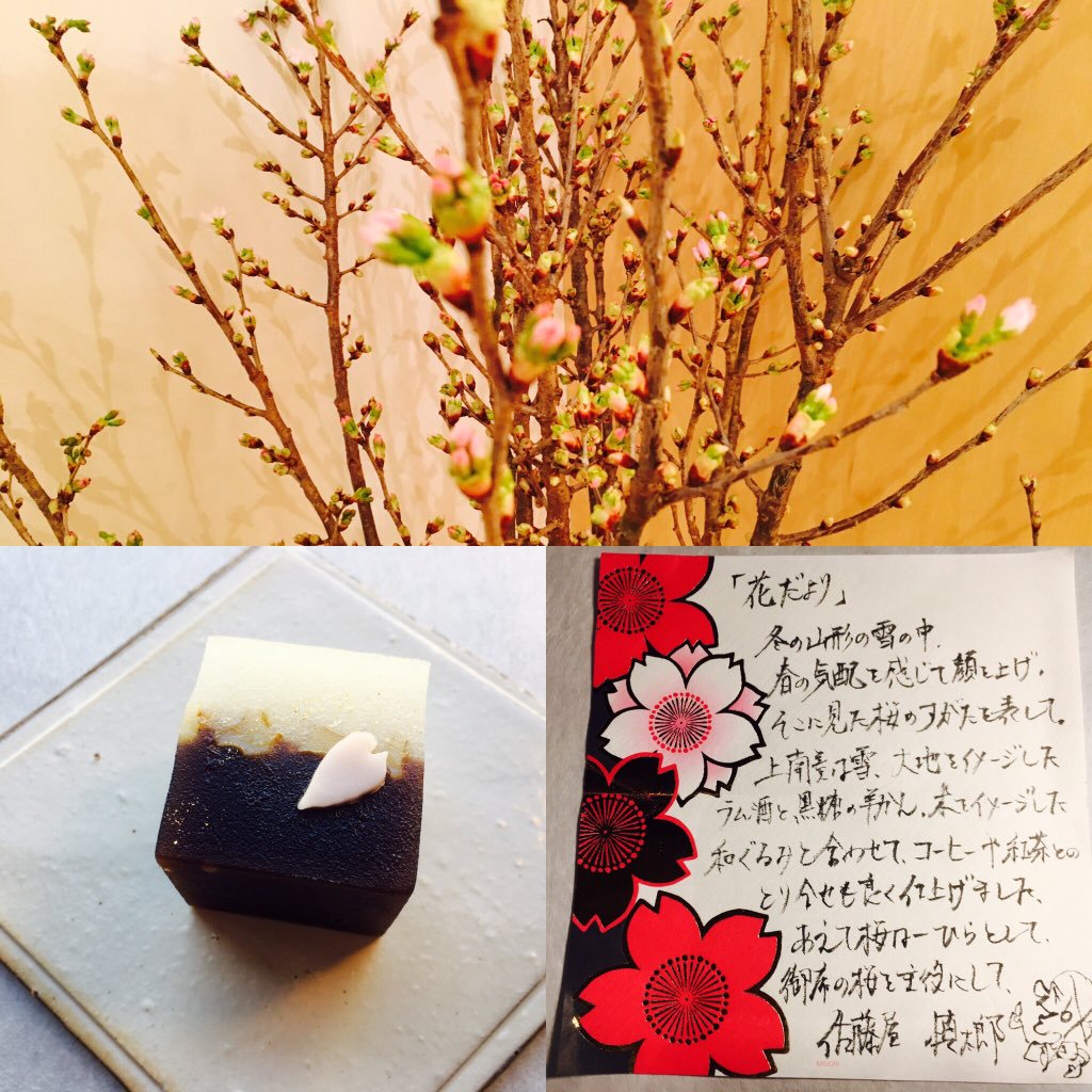 ハナと和菓子 素敵な四季のお花に 毎度同じ県の和菓子をお持ちしての茶話会のひと時 和菓子魂 Powered By ライブドアブログ ハナと和菓子 素敵な四季のお花に 毎度同じ県の和菓子をお持ちしての茶話会のひと時 和菓子魂 Powered By ライブドアブログ