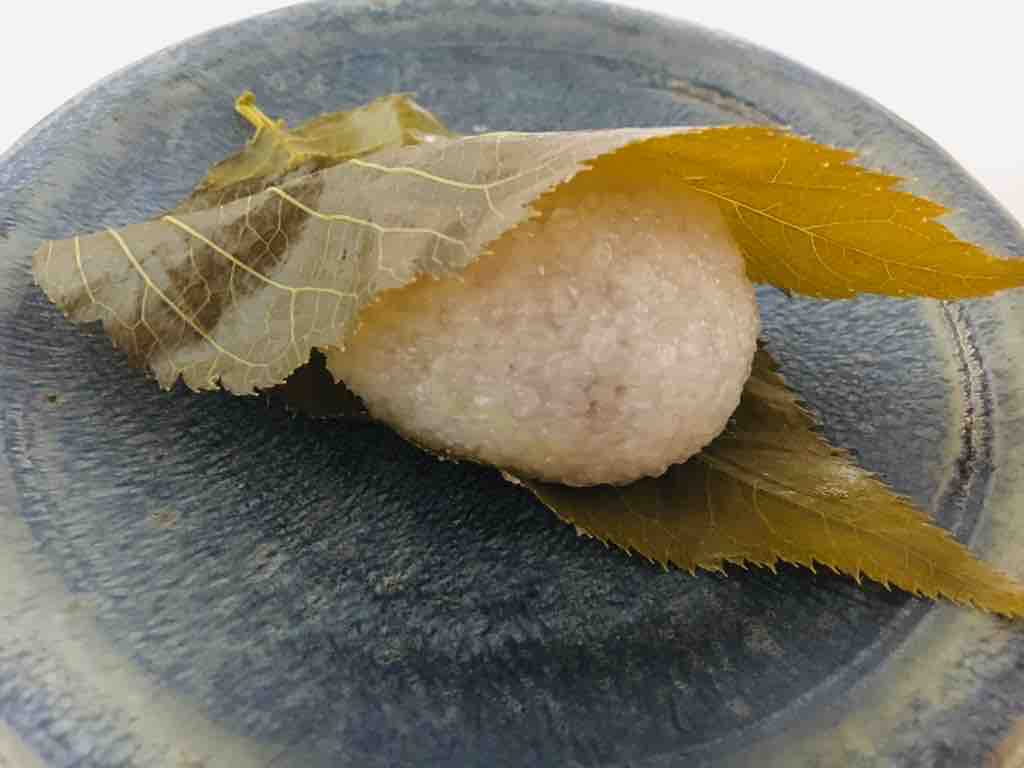 第2535回 一幸庵の 薄墨桜 と 道明寺桜餅 和菓子魂 Powered By ライブドアブログ 第2535回 一幸庵の 薄墨桜 と 道明寺桜餅 和菓子魂 Powered By ライブドアブログ